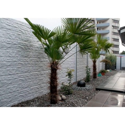 Beton schutting Fencestone enkelzijdig 200x193cm