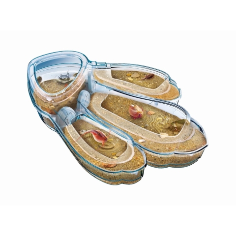 Educatieve spelletjes Clementoni Triops