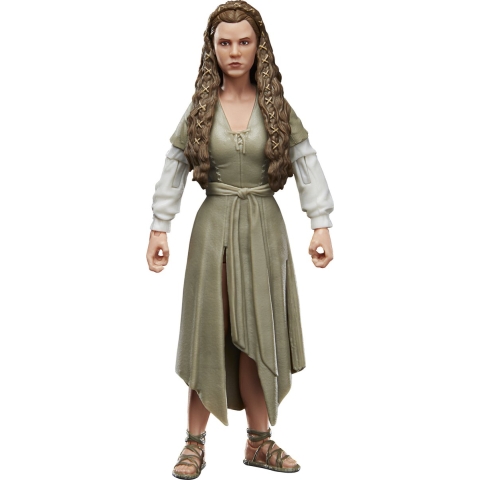 Verzamelaarsbeeldje Hasbro Star Wars Episode VI Black Series 2022 Princess Leia