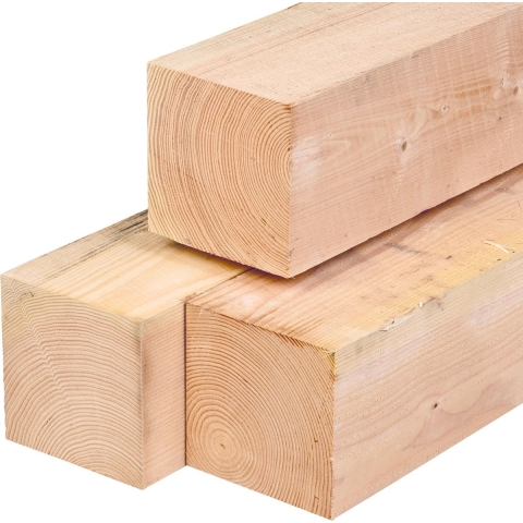 Paal douglas 20,0x20,0x400 cm Tuindeco - Tuindeco