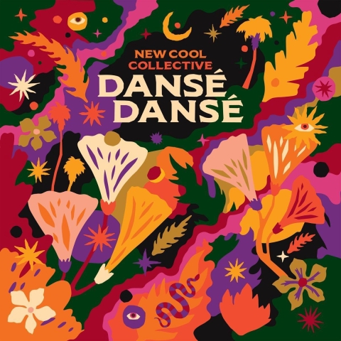 New Cool Collective - Dansé Dansé - LP - Dansbare mix van 80's drumcomputers en Afrikaanse ritmes (18 stuk(s))