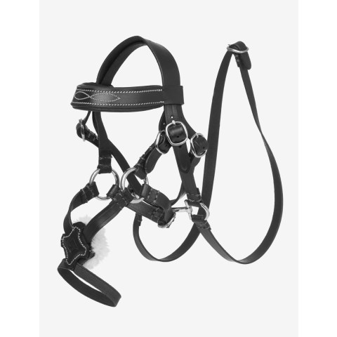 Kruisling voor knuffels LeMieux Toy Pony