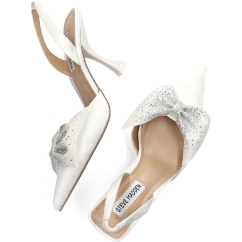 Damesschoenen Steve Madden Niteowl-P