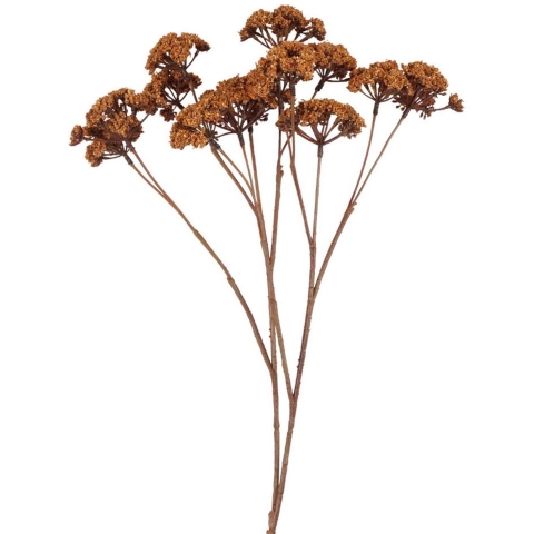 Kunstbloem Eupatorium L lichtbruin Countryfield - Countryfield