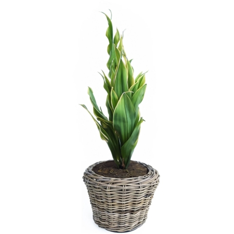 Planten/bloemen mand - rotan - gevlochten riet - D27 x H20 cm - drypot - plantenpot -