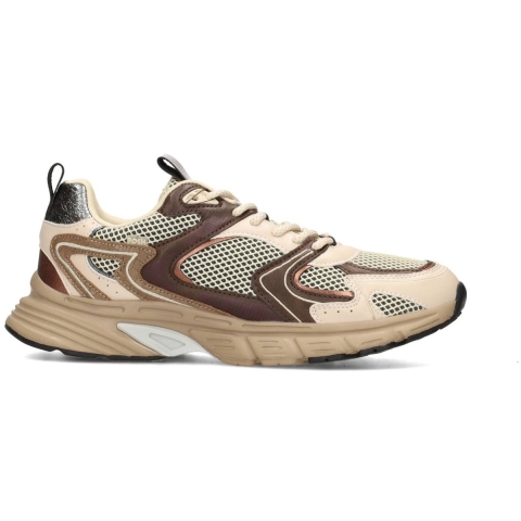 Poelman C1451106psh2 lola