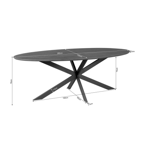 Huistuindesign Eiken eettafel ferris | ovaal 280 cm | zwart