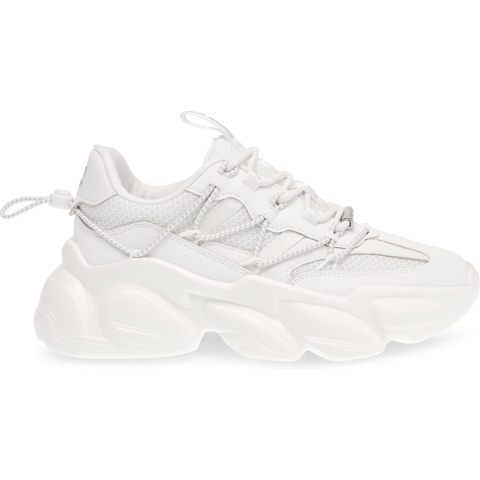 Damestrainers Steve Madden Spectator