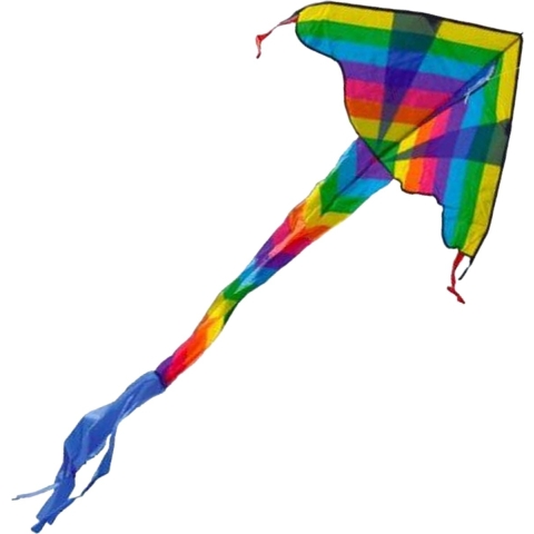 Vlieger coloured dragon 102x57cm