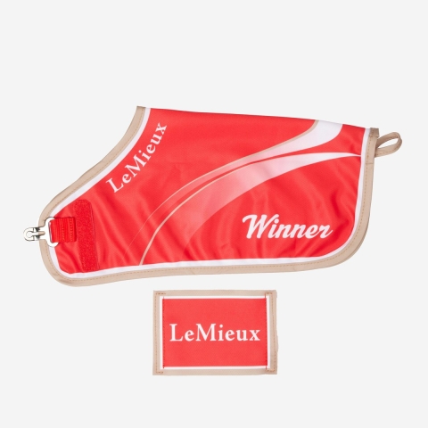 Kampioensdeken voor knuffel LeMieux Toy Pony