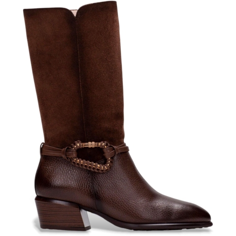 Hispanitas Phi254298