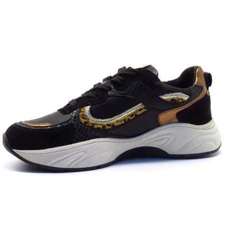 PS Poelman Lpiva-08poe