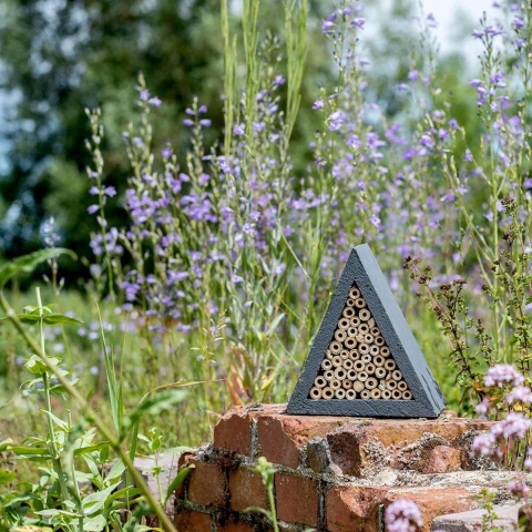 WoodStone Insectenhotel Culebra | CJ Wildlife | Producten voor insecten | Partner van Vogelbescherming Nederland