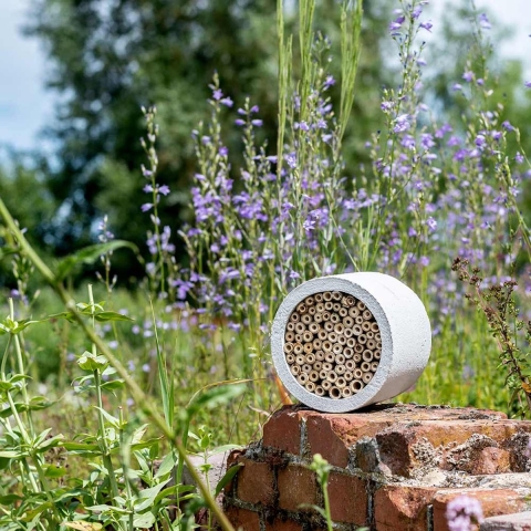 WoodStone Insectenhotel Isabela | CJ Wildlife | Producten voor insecten | Partner van Vogelbescherming Nederland