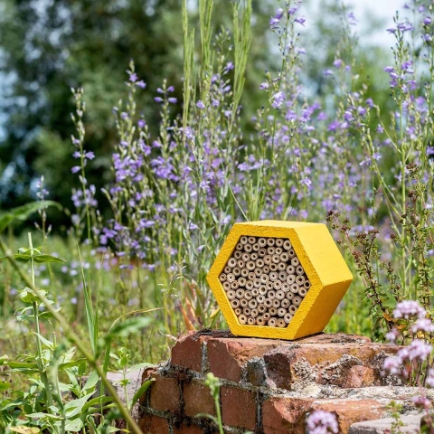 WoodStone Insectenhotel Matias | CJ Wildlife | Producten voor insecten | Partner van Vogelbescherming Nederland