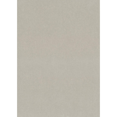 Dutch Wallcoverings Vliesbehang Uni Taupe 371-86