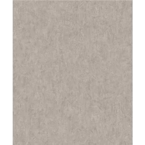 Dutch Wallcoverings Replik Vliesbehang Betonlook Grijs J850-18