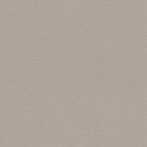Rasch Salsa Vliesbehang Uni Grijs 452037