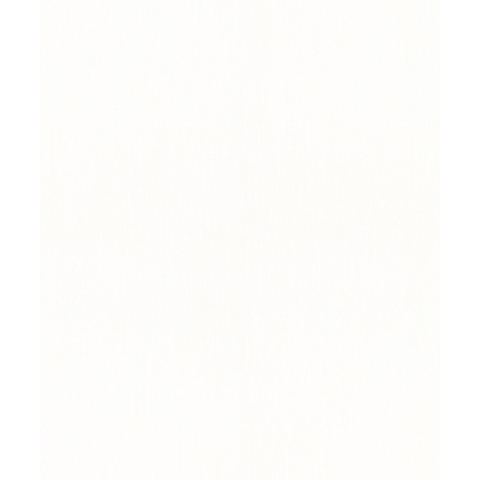 Dutch Wallcoverings Vliesbehang Uni Wit 56501