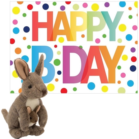 Pluche dieren knuffel kangoeroe 20 cm met Happy Birthday wenskaart -