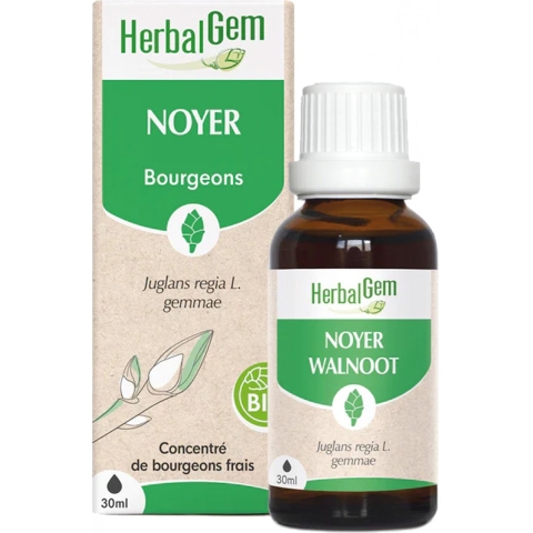 HerbalGem Walnoot Bio | 30 ml