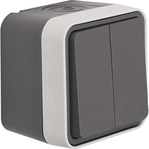 Berker 50753515 W.1 (opbouw) Serietoets spatwaterdicht Grijs, Lichtgrijs 1 stuk(s)