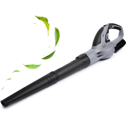 QLT Accu Bladblazer met Lader – Lichtgewicht en Krachtig Tuingereedschap voor Bladeren, Stof en Grasresten – 12V