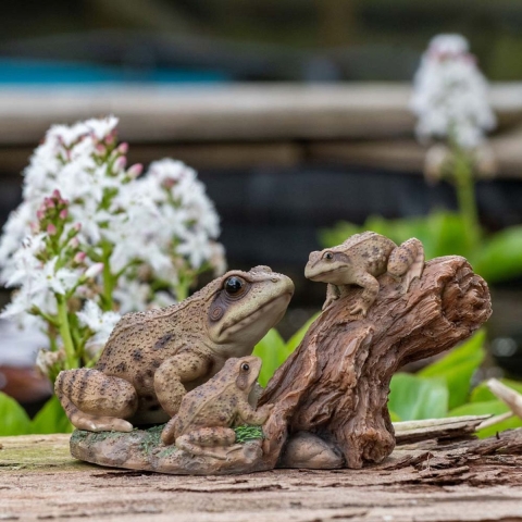 Speelse Kikkers op Boomstronk (Polystone) | HotAnt |  | Partner van Vogelbescherming Nederland