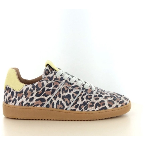 DWRS Label Poona leopard
