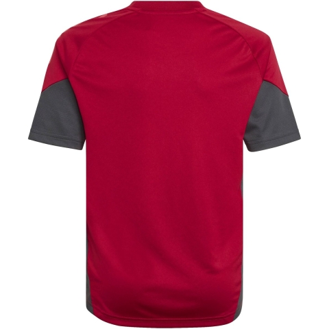 Adidas lfc tr jsy y replica voetbal trainingshirt korte mouw jongens -