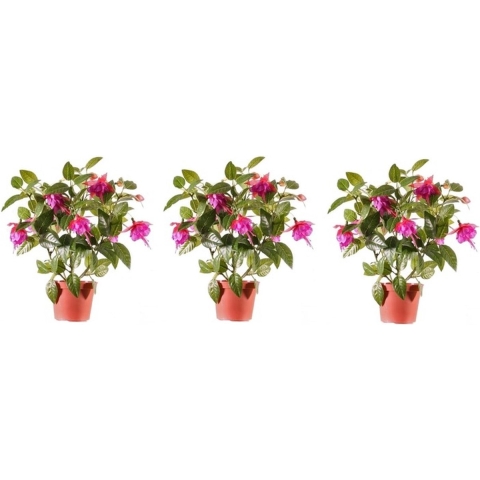 Bellatio flowers & plants kunstplant met bloemen - 3x - fuchsia roze - 30 cm - binnen -