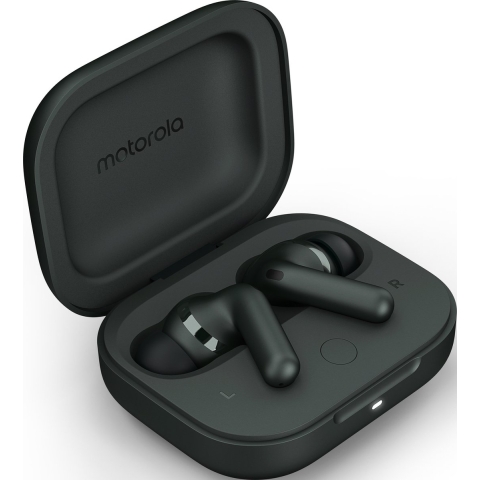 Motorola Moto Buds+ Hoofdtelefoons Draadloos In-ear Gesprekken/Muziek/Sport/Elke dag Bluetooth Grijs