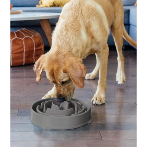 Outward Hound Dog Fun Feeder Drop Large Grijs 26 x 26 x 5 cm