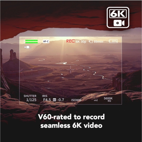 Lexar SDXC ARMOR Gold UHS-II 512GB V60 IP68 Stainless Steel R280/W205MB/s