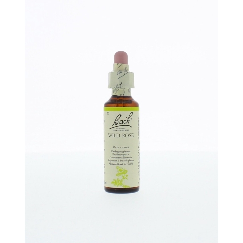 Bach Flower Remedy 37 Wild Rose | 20 ml