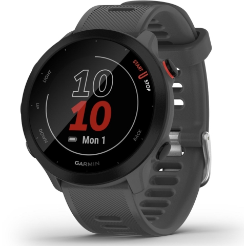 Aangesloten horloge Garmin Forerunner 55 42 mm