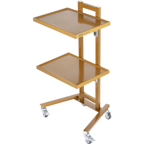 VEVOR 2-laags laboratoriumwagen van roestvrij staal, laboratoriumwagen met 2 planken, mobiele medische wagen met 4 stille wielen, rollende laboratoriumwagen voor laboratorium, kliniek, ziekenhuis, salon, goudkleurig