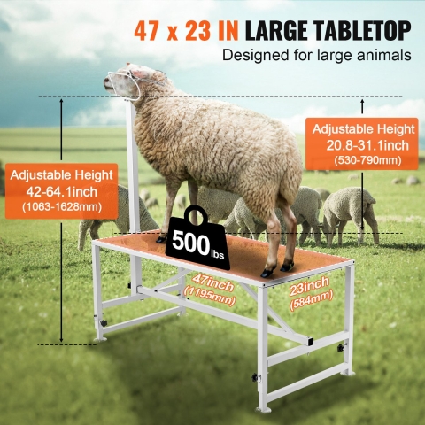 VEVOR Veeverzorgingsstand, 1195 x 584 mm Veestal, Metalen Veemelk- en Scheerstal, Verstelbare Hoogte 533 tot 838 mm, met Hoofdstel en Neusriem, Draagvermogen 227 kg, Wit