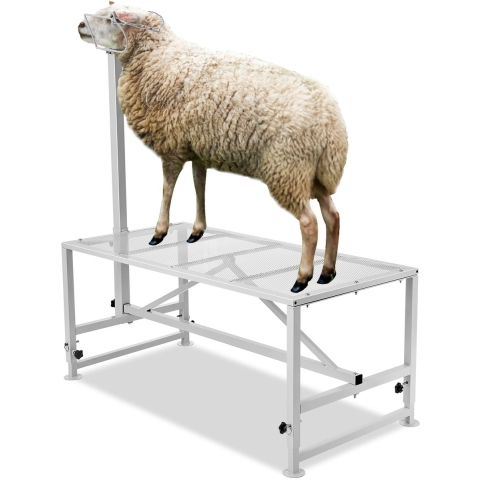 VEVOR Geiten- en Schapenstal, 1295 x 584 mm Veestal, Metalen stal voor melkvee en scheervee, Verstelbare hoogte van 533 tot 838 mm, met kopstuk en neusriem, Draagvermogen 227 kg, Wit