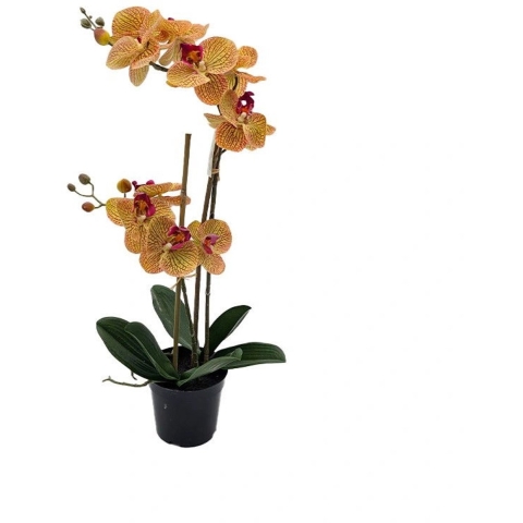 Phalaenopsis Orchidee in pot x2 50 cm Tiger Yellow kunstplant Buitengewoon de Boet - Buitengewoon de boet