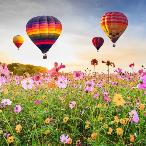 Buitencanvas luchtbalonnen 78x78cm Anna's Collection - Annas collection