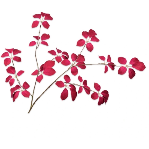 Blad fluweel beauty 134 cm kunsttak Buitengewoon de Boet - Buitengewoon de boet