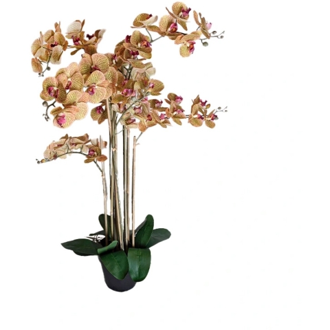 Phalaenopsis Orchidee in pot 110 cm Tiger Yellow kunstplant Buitengewoon de Boet - Buitengewoon de boet
