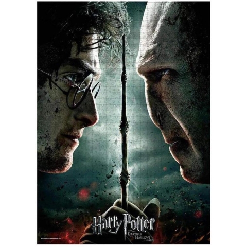 Harry Potter vs Voldemort Puzzel