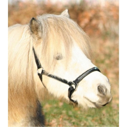 Waldhausen Lerenhalster Diamond Zwart - Paardenhalster - Cob