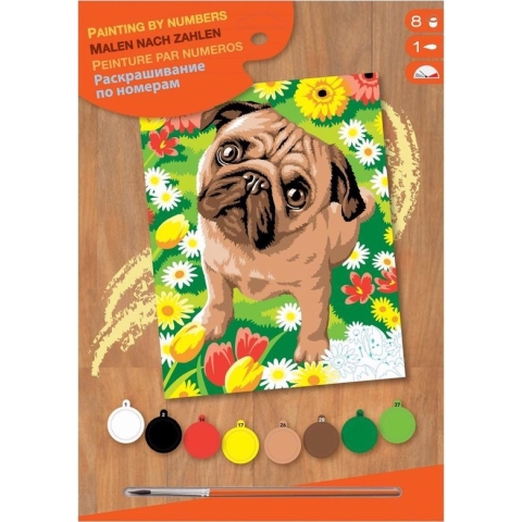 Schilderen Op Nummer Pug