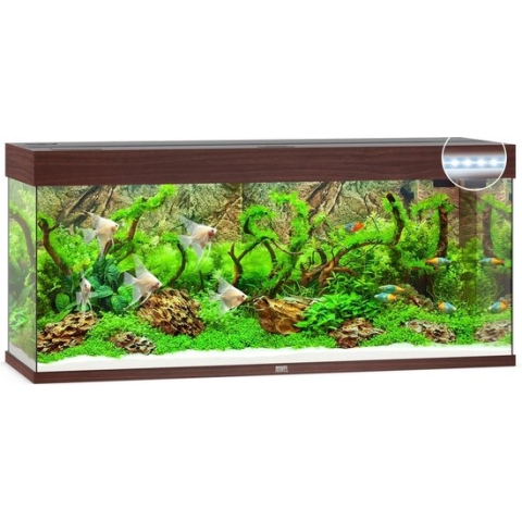 Juwel Aquarium Rio 240 Led 121x41x50 cm - Aquaria - Donker Hout