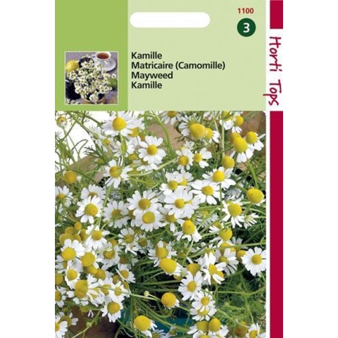 Hortitops Zaden - Kamille