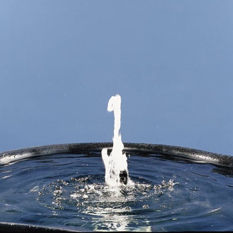 Ubbink - Elimax - 9000 - fonteinpomp - vijverpomp