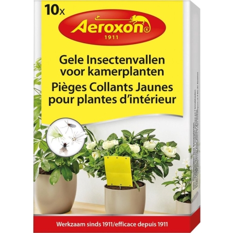 Aeroxon - Gele Insectenvallen voor Kamerplanten - Tegen Vliegen, muggen en bladluizen - 10 stuks